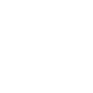 The Aloha Bears